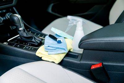 15 TikTok-Approved Must-Haves for a Clean and Organized Car - thespruce.com