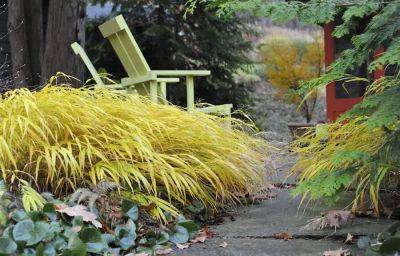 High-impact obsessions: using gold and variegated foliage, with ken druse - awaytogarden.com - state New Jersey