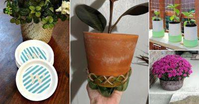 12 DIY Plant Saucer Ideas | Cheap Drip Tray Alternatives - balconygardenweb.com