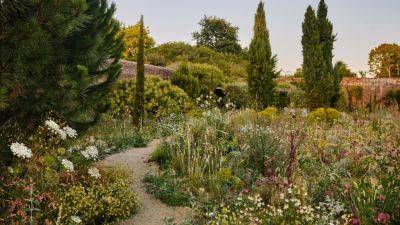 What is chaos gardening and should we all be trying it? | House & Garden - houseandgarden.co.uk