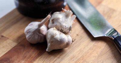 How to Grow ‘Polish Hardneck’ Garlic - gardenerspath.com - Usa - Canada - Poland - county Ontario
