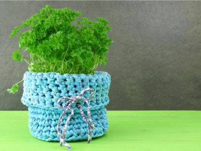 Keep Plants Warm In Style With Plant Cozies - gardeningknowhow.com