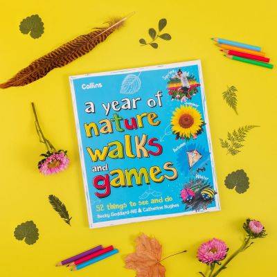 Best nature activities for kids: easy outdoor fun - growingfamily.co.uk