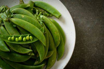 Try These Peas and Beans for Fall Planting - treehugger.com