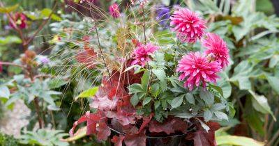 Plants for a purpose: autumn containers - gardenersworld.com - France