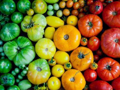 6 Tasty Hybrid Fruit And Vegetable Varieties To Try - gardeningknowhow.com