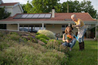 How to Power Your Garden With Solar Energy: 5 Effective Ways - theenglishgarden.co.uk