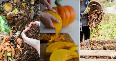 5 Pro Pumpkin Peel Uses in Garden - balconygardenweb.com - county Garden