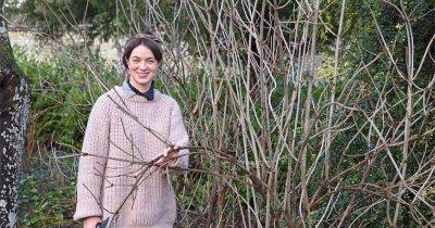 Frances Tophill's guide to February pruning - gardenersworld.com - Iran - France