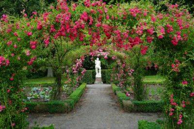 Garden Poems to Enjoy Life - backyardgardener.com - India