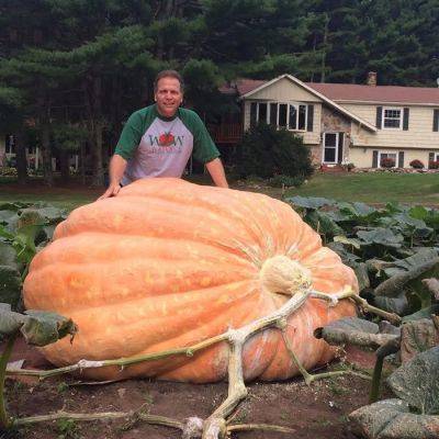 Giant Pumpkins - backyardgardener.com