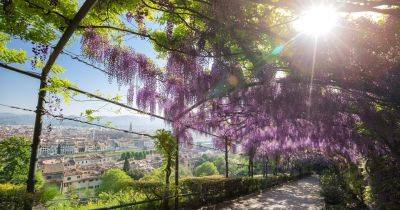 Gardens to visit in Italy - gardenersworld.com - France - Italy