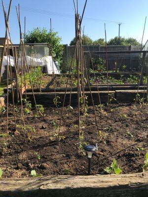Monday 31st May 2021 – Bank Holiday – Sun, Sea, Sand and Soil….. - clairesallotment.com
