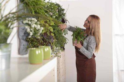 3 Simple Tips for Creating Your Own Trendy Living Plant Wall - thespruce.com