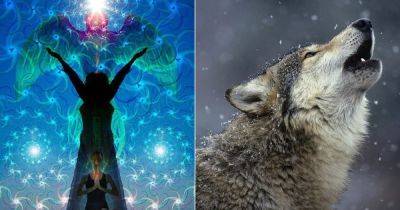 What Does It Mean to See Your Spirit Animal? - balconygardenweb.com