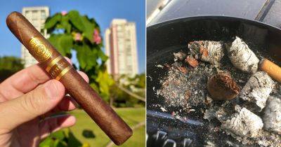 Is Cigar Ash Good for Plants? - balconygardenweb.com