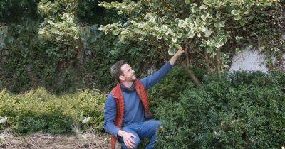 Nick Bailey's guide to March pruning - gardenersworld.com - Britain - France