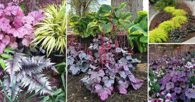 17 Coral Bells Companion Plants | Plants to Grow with Heuchera - balconygardenweb.com