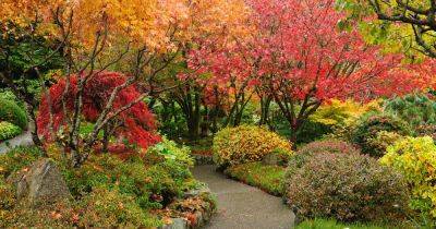 15 of the Best Woody Shrubs for Fall Color | Gardener's Path - gardenerspath.com - Usa