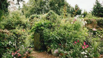 14 reasons to start a container garden | House & Garden - houseandgarden.co.uk