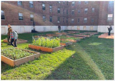 Urban Ag is Nothing New. Representing it in City Government is. - modernfarmer.com - state Michigan