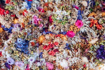 Dried Flower Panels Are the Perfect Spring DIY - thespruce.com