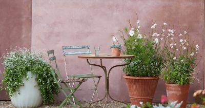 Brighten up your garden with Crocus plant pots - gardenersworld.com - Britain