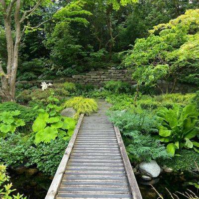 GPOD on the Road: Here Come the Podophyllums, Part 2 - finegardening.com - Japan - county Hardy