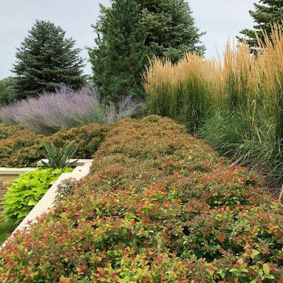 Design Ideas for Managing Rainwater in Your Garden - finegardening.com