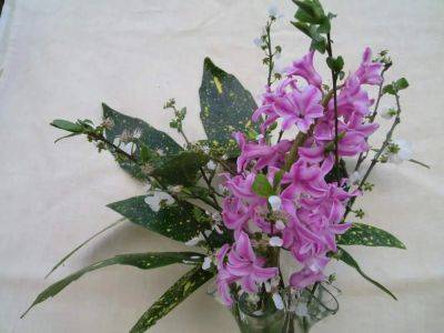In a Vase on Monday: Spotting Signs of Spring - ramblinginthegarden.wordpress.com - Britain