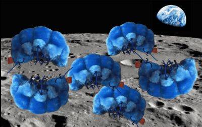 Could tardigrades have colonized the Moon? - theunconventionalgardener.com
