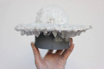 Can Mushrooms Help Extinguish Toxic Waste? - modernfarmer.com - France - Belgium