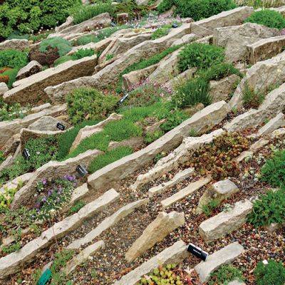 How to Build a Crevice Garden - finegardening.com - state Oregon - state North Carolina - state Maine
