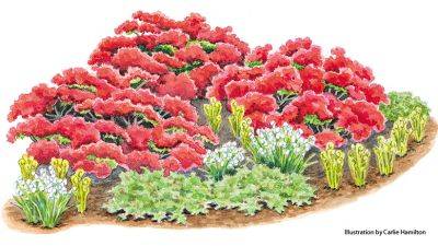 Colorful Spring Garden Bed with ‘Hino-Crimson’ Azalea - gardengatemagazine.com - China