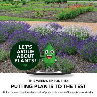Episode 154: Putting Plants to the Test with Richard Hawke - finegardening.com - city Chicago