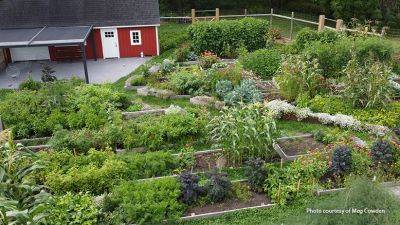 Maximize Your Vegetable Harvest with Succession Planting - gardengatemagazine.com - state Minnesota