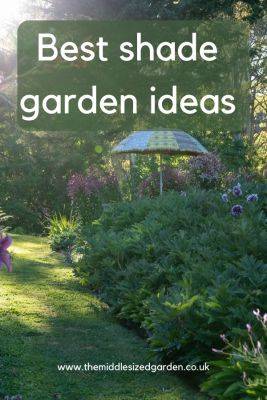 Shade gardening – how to choose perfect shady garden plants - themiddlesizedgarden.co.uk