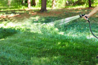 5 Mistakes You're Definitely Making When Watering Your Lawn, From a Pro - thespruce.com
