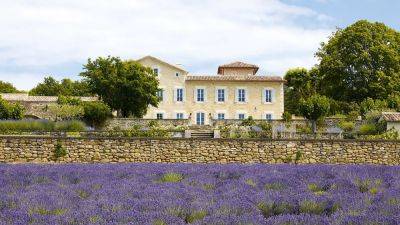 How to grow lavender | House & Garden - houseandgarden.co.uk - Britain - France - India - Egypt - Italy - Spain - Portugal
