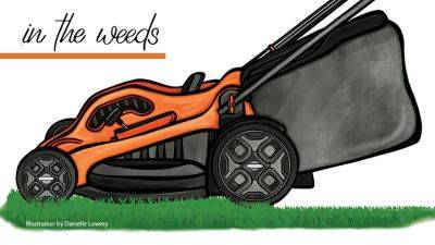 Electric Mower Upgrade For the Win! - gardengatemagazine.com