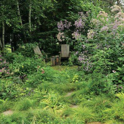 Design an Engaging, Naturalistic Garden in the Shade – Plant IDs - finegardening.com - Britain - county Garden