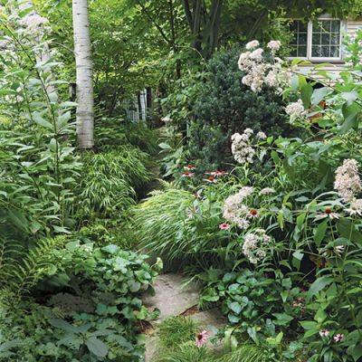 Design an Engaging, Naturalistic Garden in the Shade - finegardening.com - Britain - county Garden