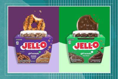 Jell-O And Girl Scouts Make the Most Delicious Duo - bhg.com - Usa