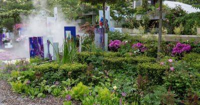Memories from the RHS Chelsea Flower Show - gardenersworld.com - Mexico