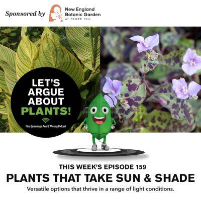 Episode 159: Plants that Take Sun and Shade - finegardening.com - Russia - Japan - state Texas