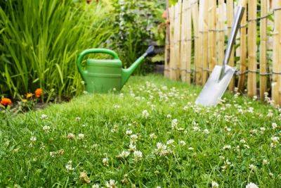 Lazy Lawns: What They Are And How To Achieve Them - thespruce.com