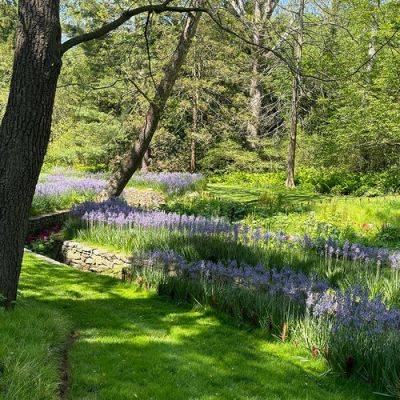 GPOD on the Road: Wendy’s Spring Trip to Chanticleer - finegardening.com