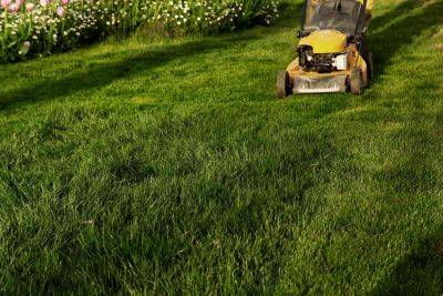 When Is The Best Time Of Day To Mow Your Lawn? An Expert Weighs In - southernliving.com - Georgia