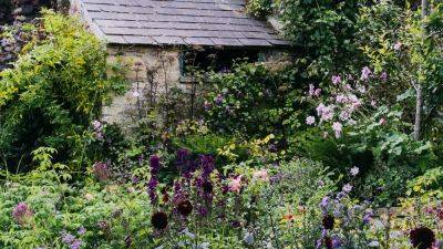 How to get the look of this romantic English cottage garden | House & Garden - houseandgarden.co.uk - Britain