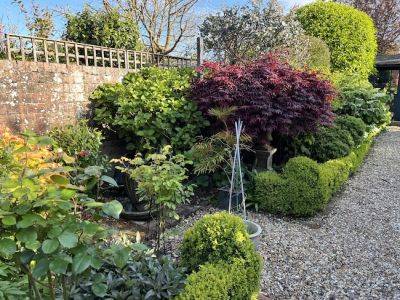 Restoring a Garden with GardenAdvice - gardenadvice.co.uk